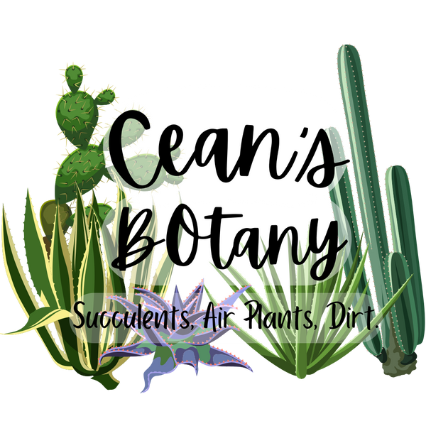 Cean’s Botany